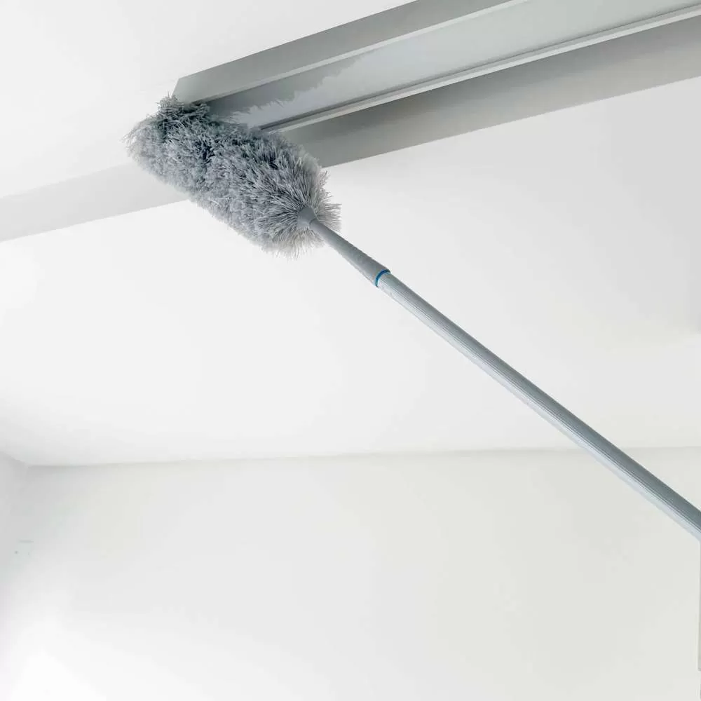 PLUMERO PUNTERA EXTRAIBLE CHENILLE EXPERTO SENZEN